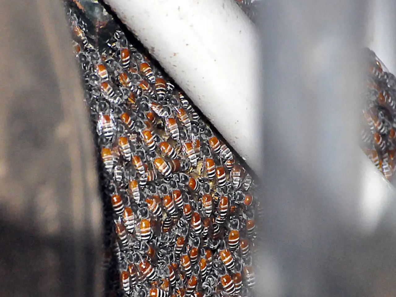 Uncover Exciting Job Opportunities in Honeybee Robotics: Be Part of Tomorrow's Pioneering...