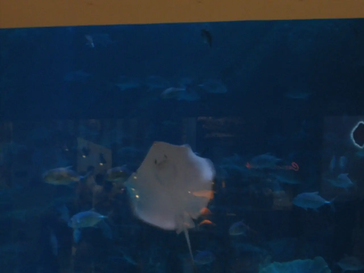 Modern Technology Contenders: Weighing the Advantages and Disadvantages of Chemical and Mechanical...