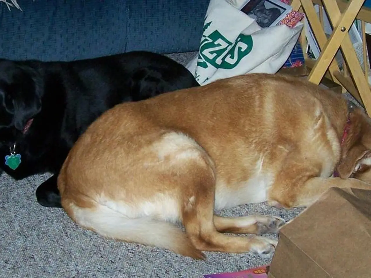 Recyclable PET closure developed by Nviro1 targets single-material packaging recycling