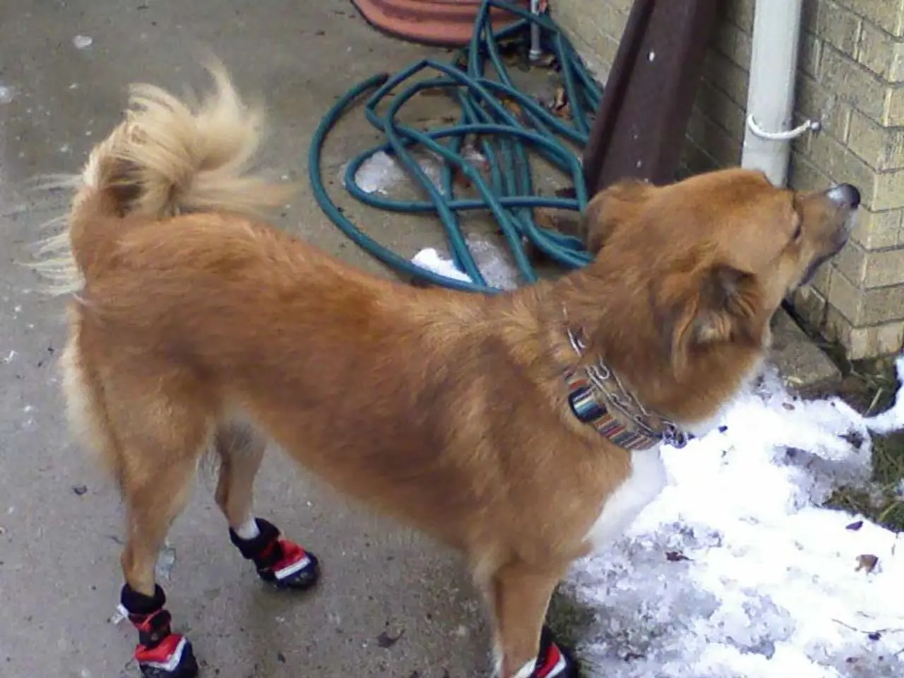 Investment Analysts Anticipate a Huge 20,000-fold Return on Investment (ROI) Increase for BlockDAG,...