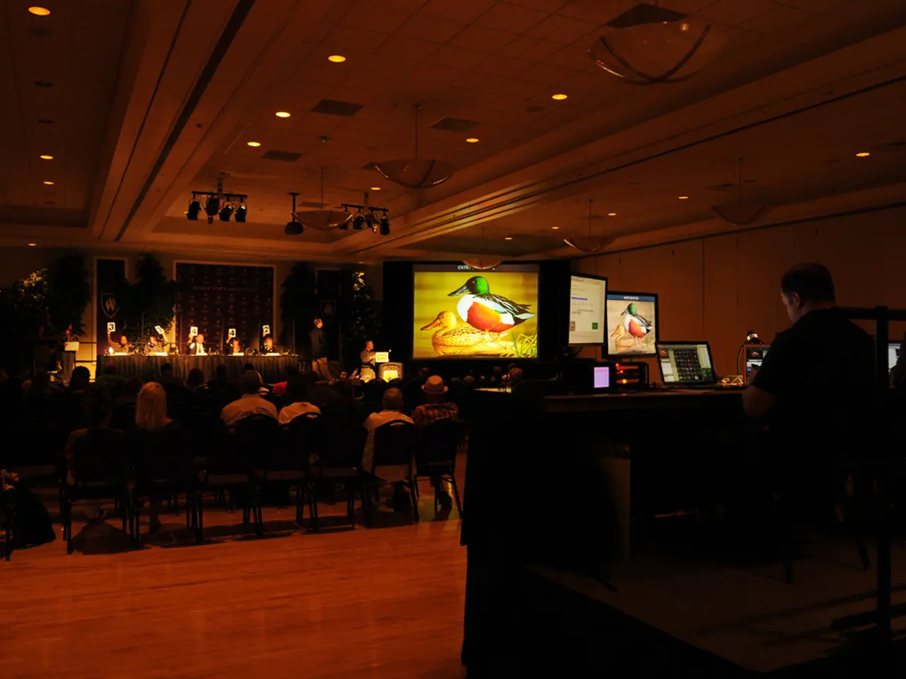 In this picture I can see few persons are working with the laptops on the right side, in the middle...