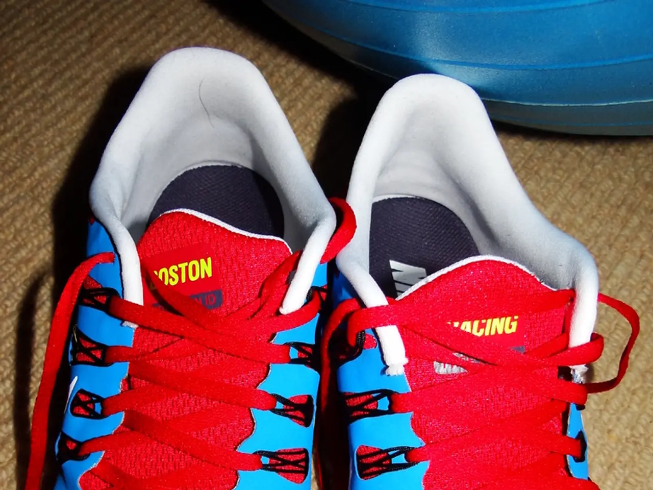 In this image there is a pair of shoes with red and blue combination which has some text on it and...