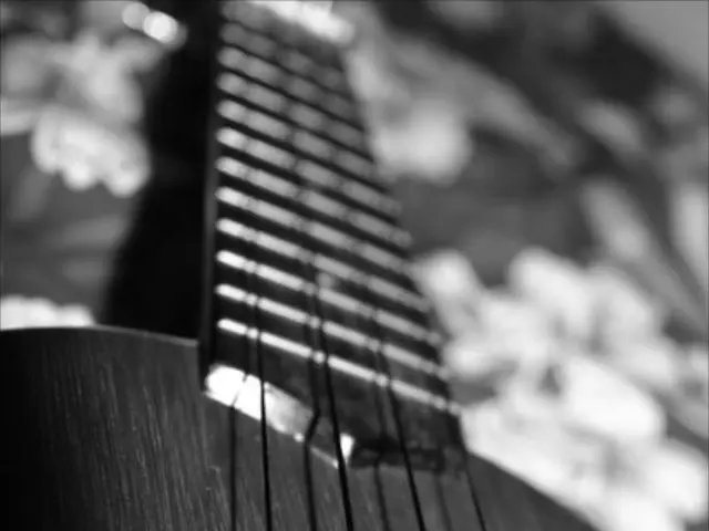 Download more VST Plugins, specifically the ones from Polyverse, for free; and discover our top 3...