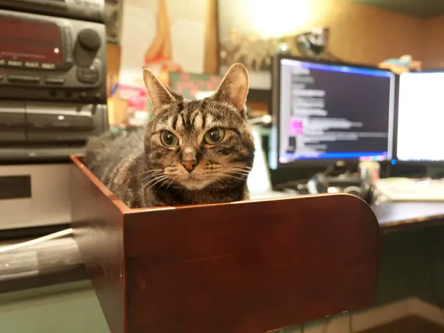 Arrest Warrant Issued for John Doe on Charges of Cyber Crime, Hacking, and Identity Theft