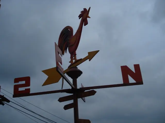 Detailed Analysis and User Guide for Garmin GPSMAP 65s Model