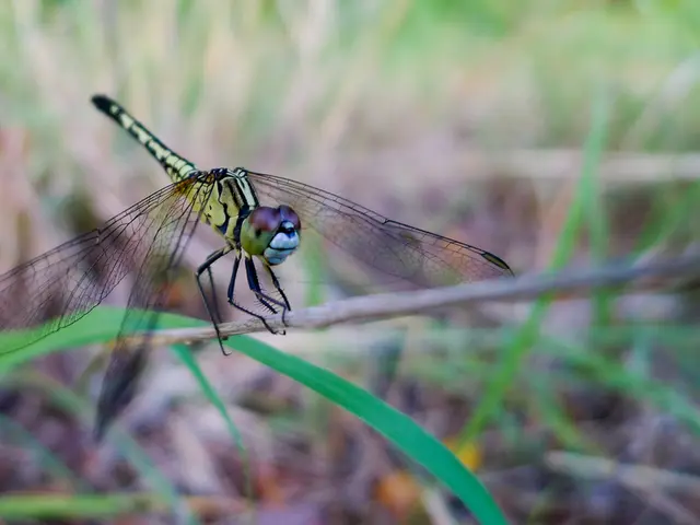 Valve Employee Mistakes CPU Prefixes, Causing Sluggish Reading in Steam Beta; Swift Firmware Update...