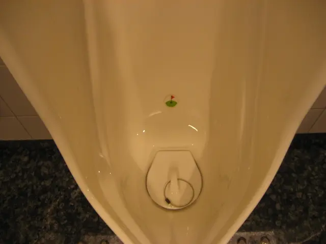 Breaking the persistent cycle of reoccurring urinary tract infections could put an end to chronic...