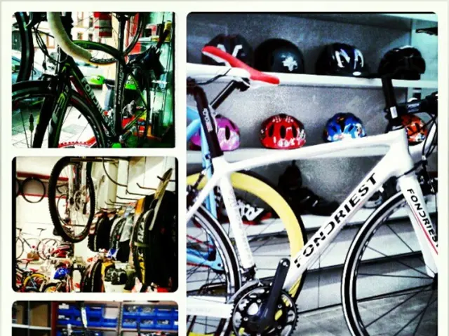 Large-scale Chromoly Flat Bars Evaluation: Box One’s 2025 Version Assessed