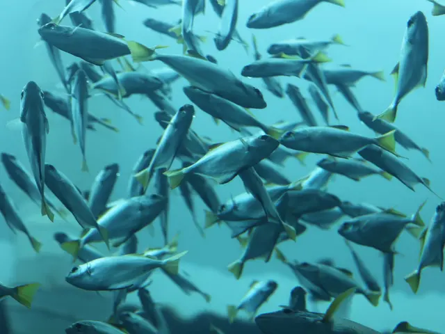 Klipsch enhances top-tier audio services for iKon watercraft, utilizing ReelQuiet technology