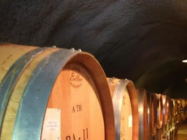 Exploitation of Resurfacing Vulnerabilities by Malicious Groups