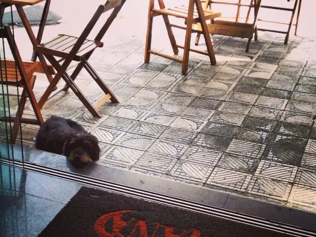 Polyurethane Catalyst Market Likely to Reach a Compound Annual Growth Rate of 6.5% by 2034