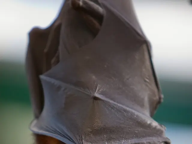 Evaluation of Canon RF 100mm f/2.8 Macro Lens: Close-up Perusal