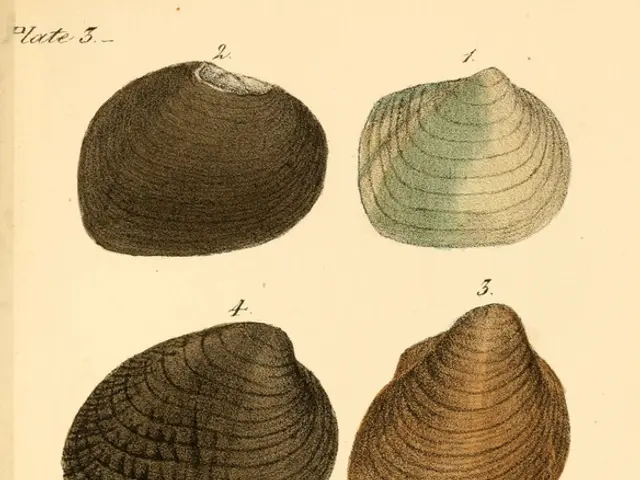 Web attackers installed backdoors and leveraged open internet applications in the last quarter.