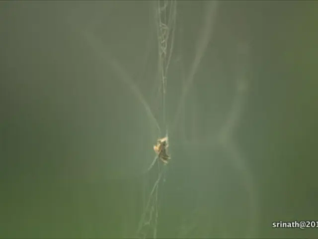 All websites featuring text input forms will be identified as "Not Secure" by Google Chrome...