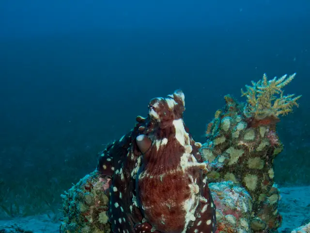 Manipulates water droplets in a snake-themed game using a joystick, employing 'Water Pixels'...