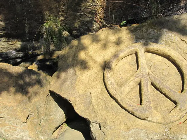 Understanding and Utilizing Quartz Embeddings in Materials