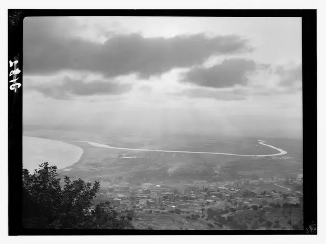 Harman unveils enhanced Phoenix II color film, offering improved color accuracy and revamped ISO...