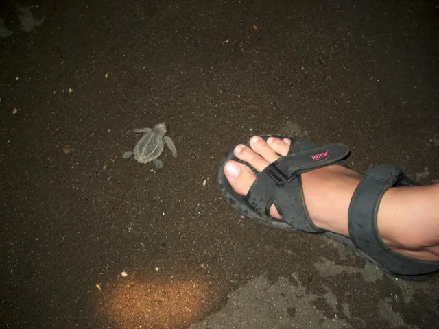 Crocs unveils initial team-up with Animal Crossing for exclusive footwear line