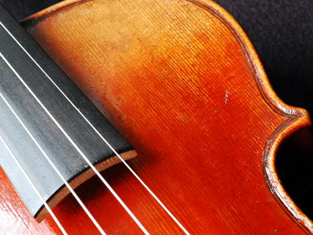 "Guitar's back removal maintains its tuning efficiency similar to tuning with the back intact:...