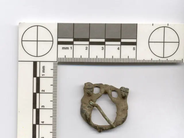 Machine Processing Variety: How a Single Device Handles Diamonds, Screws, and Seeds!