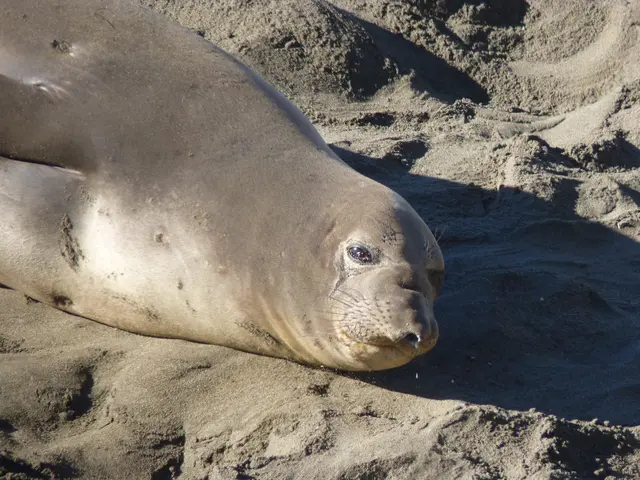 Prioritizing Network Security: Insights from NIST's Recent DNS Incidents