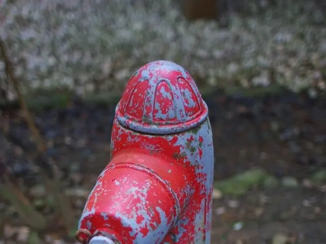 Local authorities rely on water meters to identify and address issues related to damaged pipes.