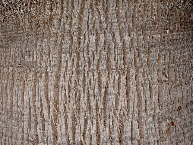 Employing Decision Tree Model for Regression Analysis Using Scikit-Learn Library