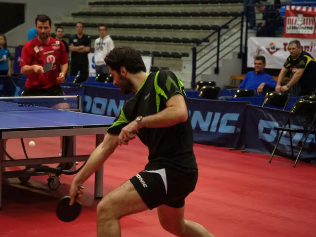 Unveiling the Operation of Dominoes: A Behind-the-Scenes Look