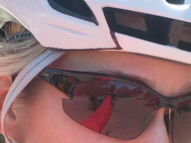 Training models for identifying object classes in images or other visual data