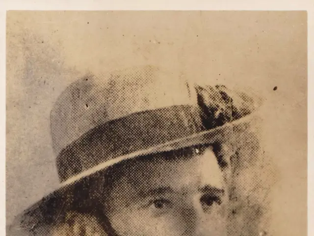 After employing the Cricut Hat Press, I'm finding it hard to justify its steep cost.