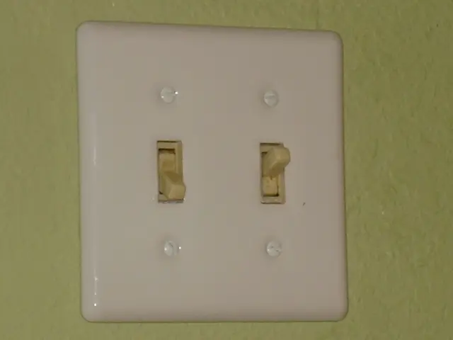 High-Speed Networking Equipment: Gigabit Switches