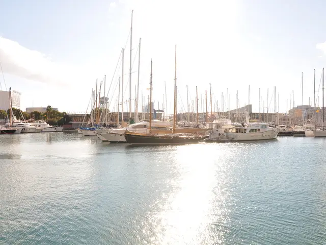 Stock Performance of Two SaaS Companies Slumping. Is the Financial Market's View Misjudged?