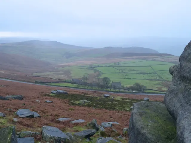 Massive Iron Ore Discovery Reveals 55-Billion-Tonne Deposit in an Unforeseen Mining Location on a...