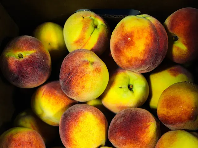 Musk announces plans to take legal action against Apple, alleging that X and Grok have been...