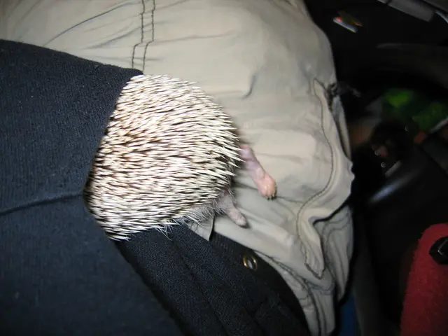 vaping cessation results in digital pet's demise