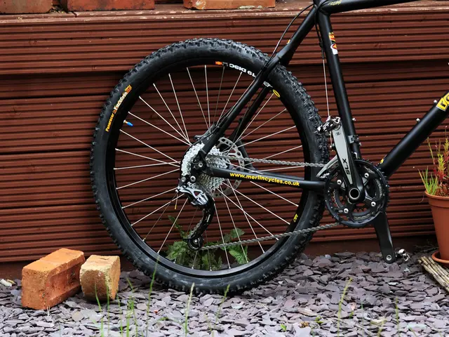 Competition for essential minerals at hand