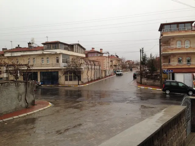 Tesla's Debut in India: Implications for the Electric Vehicle Industry