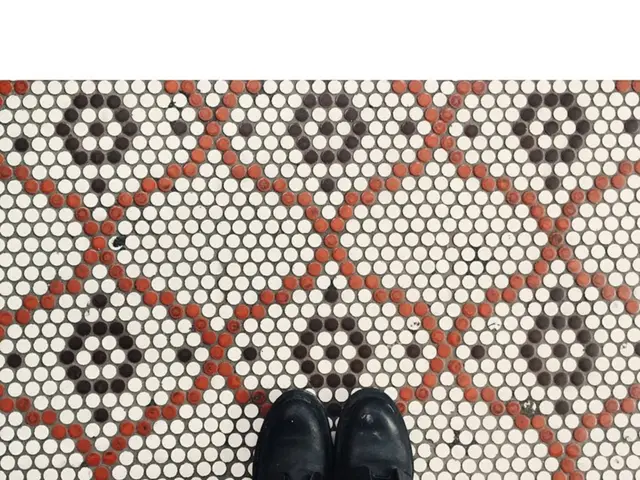 Enhanced Cushioning and Energy Return in Nike's Vomero Plus through an Upsurge in Stack Height