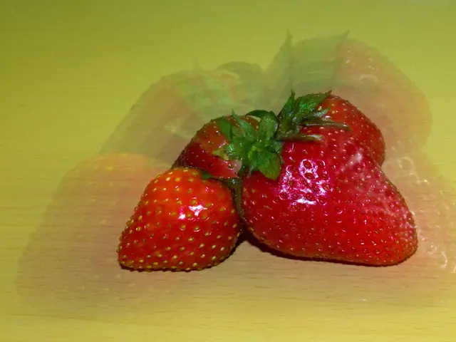 Automated Machines Retrieve, Gather, and Stockpile Strawberries