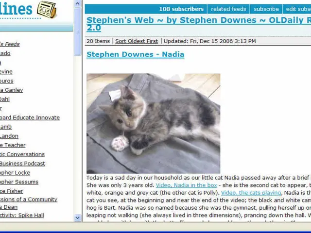 Creator of Nyan Cat asserts $700,000 in royalties during surge of meme coin popularity