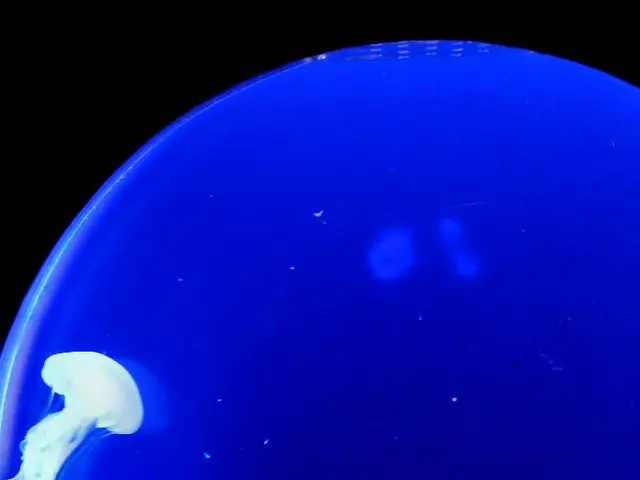 Giant Oceanic Depth Exploration Yields Discovery of Barbie Lobsters, Sea Pigs, and Approximately 40...