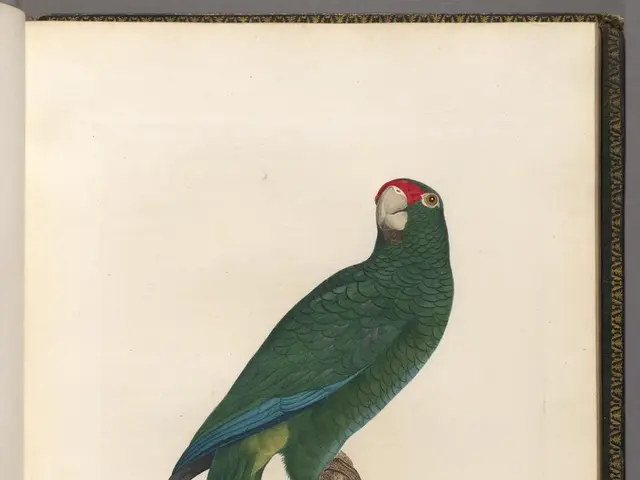 AI Stock Not Found in Warren Buffett's Portfolio but Adheres to His Guidelines