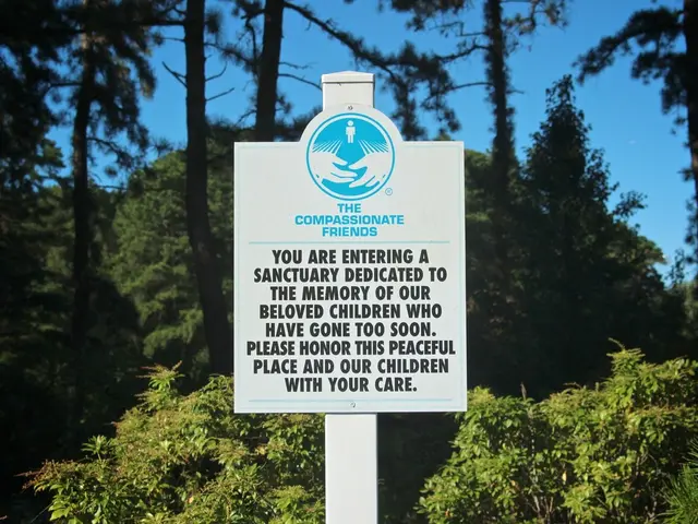 Gaming company 3 Oaks teams up with Vibra Solutions in Latin America