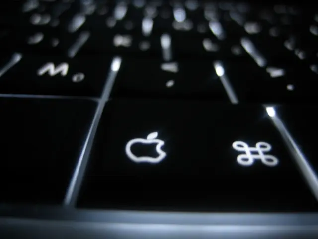 Worldwide influence of our site's biometric milestones evidently exceeding expectations