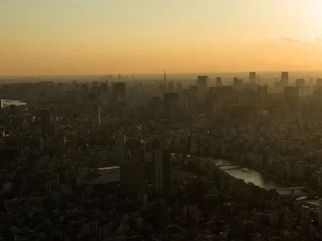 Halle (Saale) is aggressively promoting the growth of fiber-optic networks