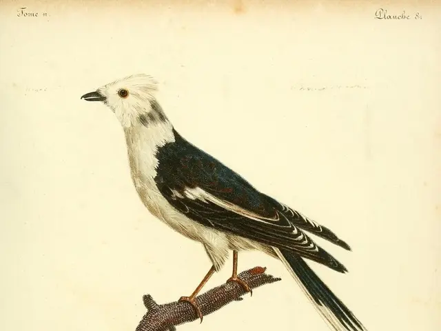 Artificial Intelligence-powered scarecrows emit sporadic howls