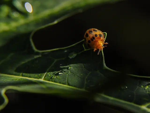 WinRAR Zero-Day Vulnerability (CVE-2025-8088) Eliminated Permanently Using TruRiskTM