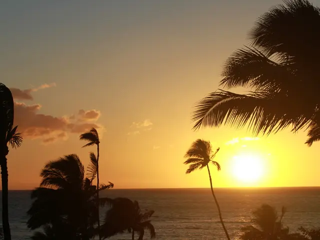 Solar Wind Predictions Take a Leap Forward Courtesy of NYUAD AI Innovation