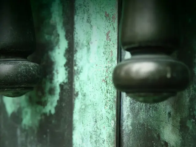 Tesla is revising its door handles, a change instigated due to safety concerns that have been...