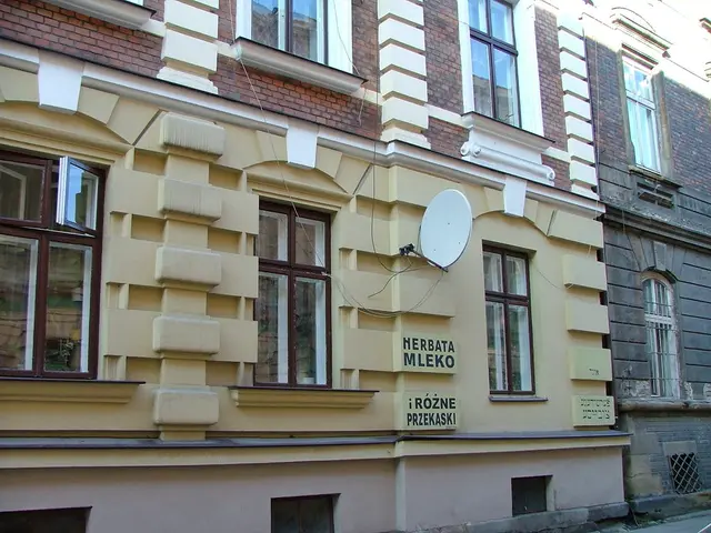 Avoidance of Financial Bankruptcy by EchoStar